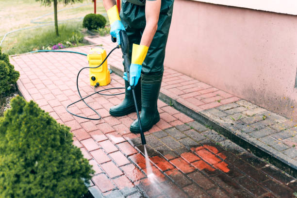 Best Sidewalk and Walkway Cleaning  in Biola, CA